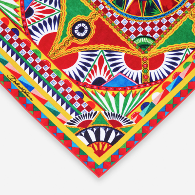 Dolce & Gabbana Terry Cotton Bath Towel In Multicolor