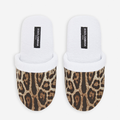 Dolce & Gabbana Leopard-print Terry Slippers In Multicolor