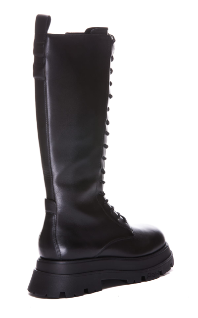 Shop Ash Elvis Boots In Black