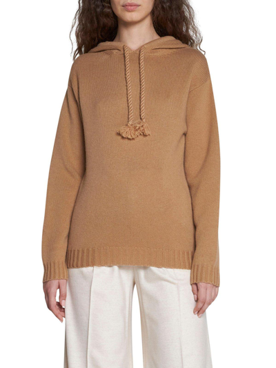 Shop Max Mara Ribbed Knitted Hoodie In Cammello