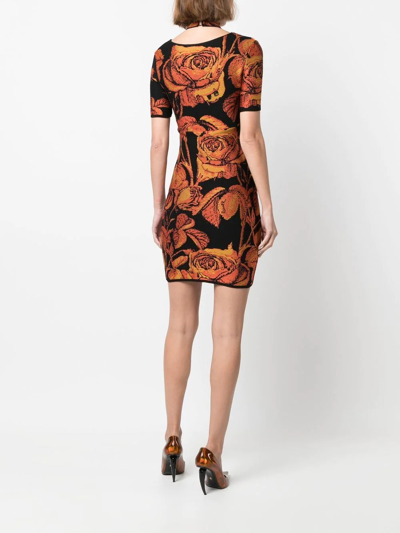 Roberto Cavalli Rose-jacquard Cut-out Mini Dress In Black