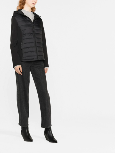 Shop Lauren Ralph Lauren Insulated Contrasting Sleeves Jacket In Black