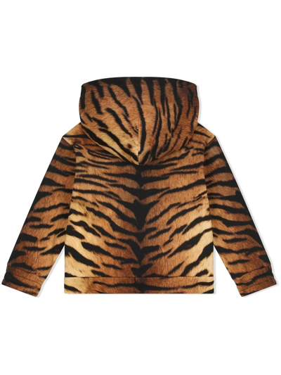 Dolce & Gabbana Jersey Hoodie With Tiger Print In Brown