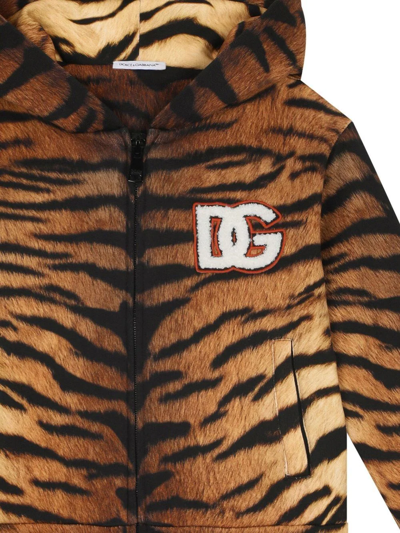 Shop Dolce & Gabbana Tiger-print Zip-front Hoodie In Brown