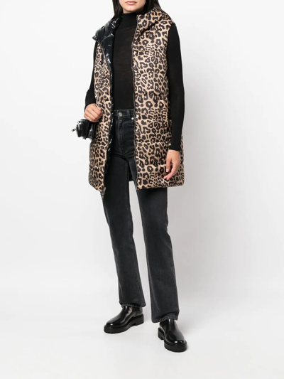 Shop Liu •jo Leopard-print Padded Gilet In Brown