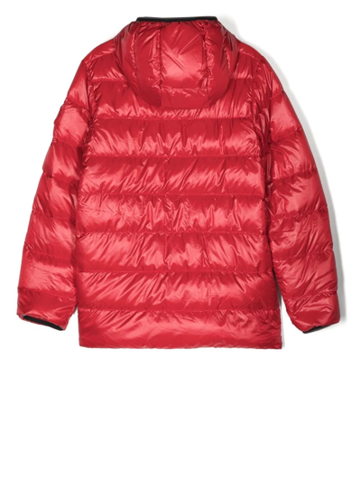 Shop Canada Goose Teen Crofton Puffer Jacket In Red