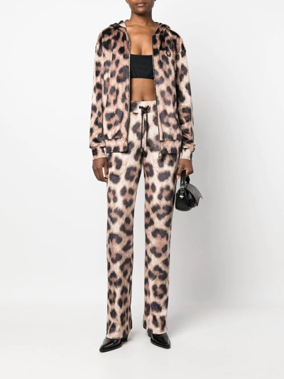 Shop Philipp Plein Leopard-print Track Pants In Brown