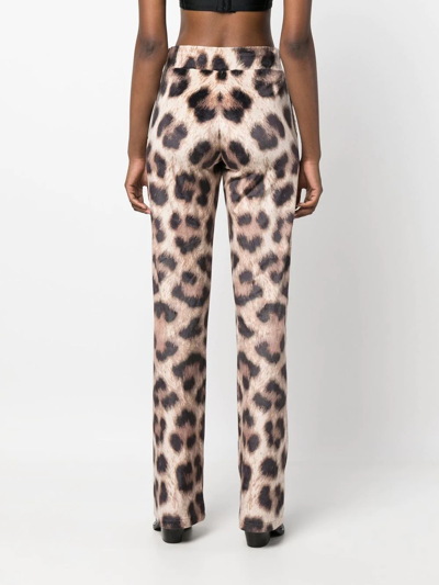 Shop Philipp Plein Leopard-print Track Pants In Brown