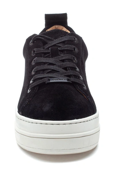 Shop J/slides Nyc Jslides Noca Platform Lace-up Sneaker In Black Suede
