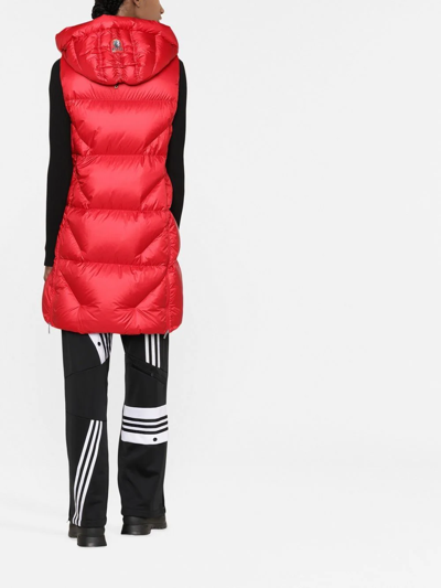 Shop Parajumpers Hooded Puffer Gilet In Red