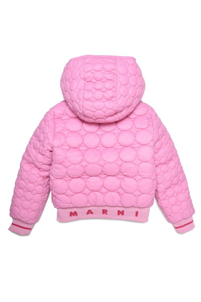 Shop Marni Mj96f Jacket  In Begonia Pink