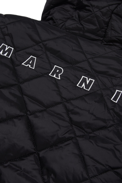 Shop Marni Mj12u Jacket  In Black