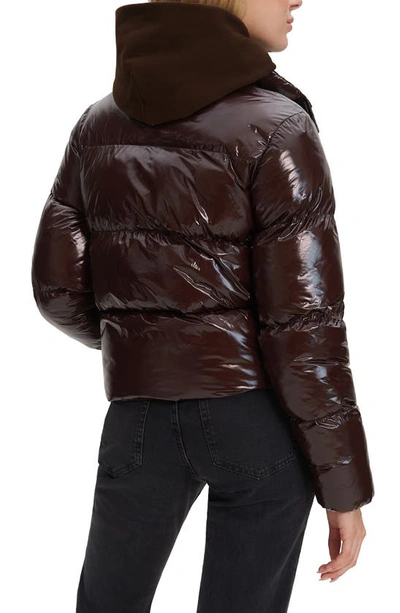 Noize Coco Crop Water Resistant Puffer Jacket In Espresso