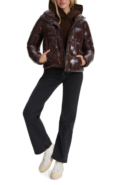 Noize Coco Crop Water Resistant Puffer Jacket In Espresso