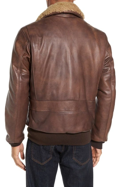 Schott Cowhide Bomber Jacket With Genuine Shearling Collar In Brown