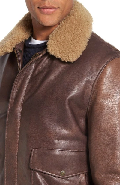 Schott Cowhide Bomber Jacket With Genuine Shearling Collar In Brown