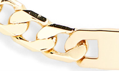 Jenny Bird Simone Curb Link Choker Necklace In High Polish Gold Tone