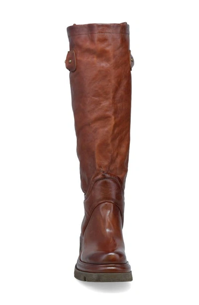 Shop As98 Elton Tall Boot In Whiskey