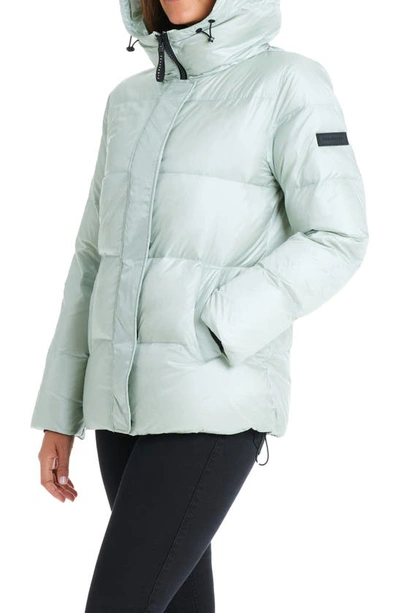 Shop Sanctuary Hooded Down Puffer Jacket In Mint