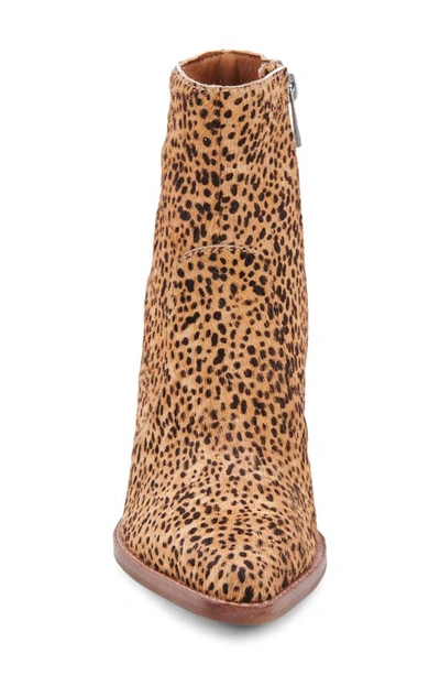 Shop Dolce Vita Volli Pointed Toe Bootie In Leopard Calf Hair