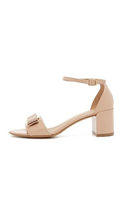 Ferragamo 'gavina' Ankle Strap Sandal (women) In Pink | ModeSens