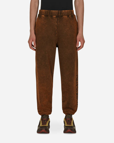 Shop Aries Acid No Problemo Sweatpants Brown In Orange