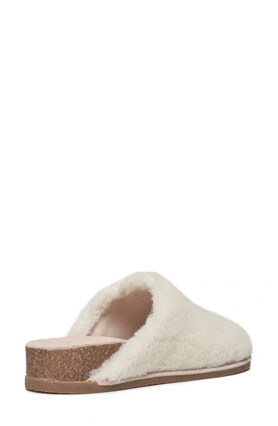 Shop Splendid Casey Slipper In Ivory