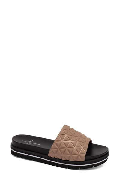 Shop Linea Paolo Leah Slide Sandal In Taupe Fabric