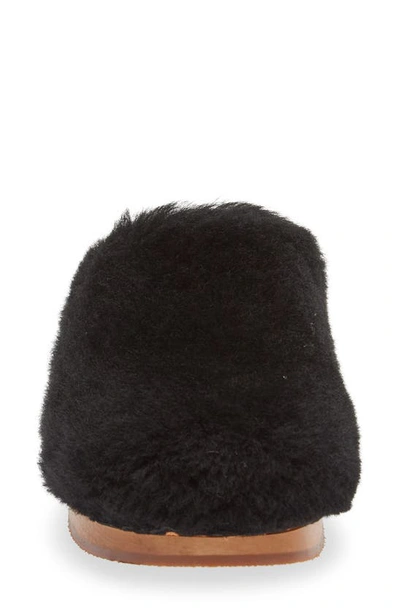 Shop Swedish Hasbeens Fluff Genuine Shearling Clog In Black
