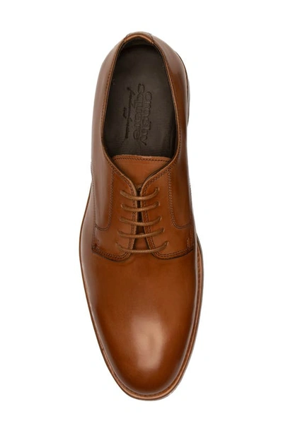 Crosby Square Oakmont Derby In Tan