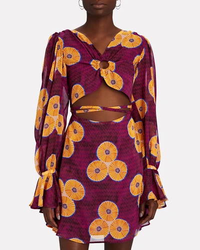 Shop Autumn Adeigbo Amelie Cut-out Floral Mini Dress In Multi