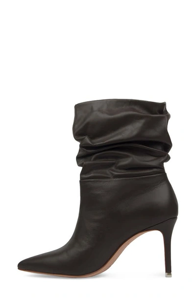 Shop Black Suede Studio Ilsa Bootie In Mulch Nappa