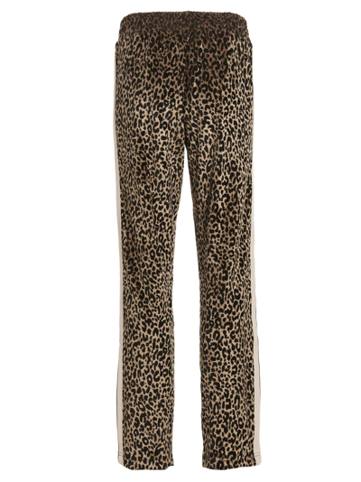 Shop Palm Angels Animalier Track Joggers In Multicolor