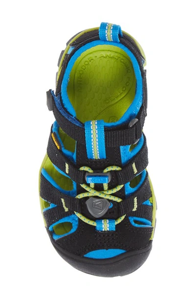 Keen Seacamp Ii Cnx Water Friendly Sandal In Black/ Brilliant Blue