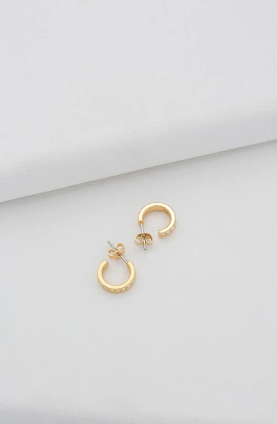 Shop Ted Baker Seenita Nano Huggie Hoop Earrings In Gold Tone Clear Crystal