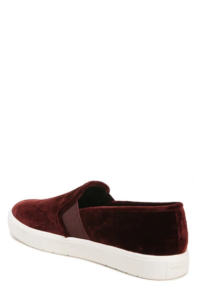 Shop Vince Blair 5 Slip-on Sneaker In Pinot