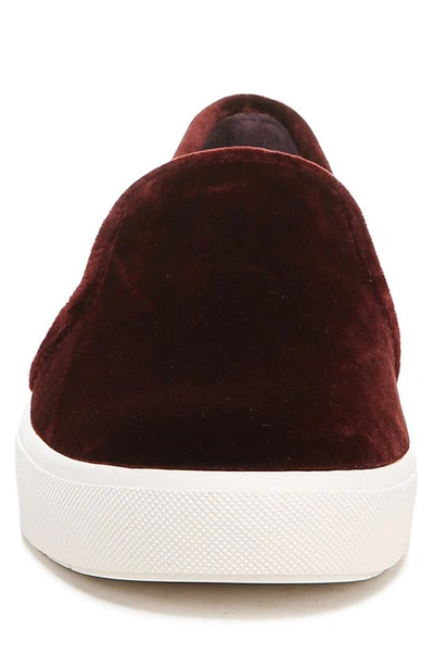 Shop Vince Blair 5 Slip-on Sneaker In Pinot