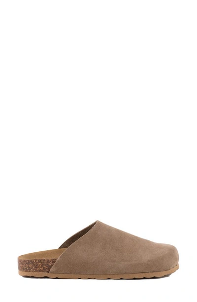 Seychelles New Routine Mule In Taupe