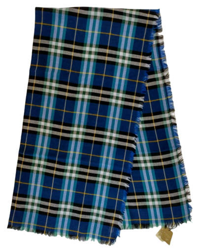 Shop Burberry Canyan Blue Castleford Check Light Weight Large Scarf Shawl