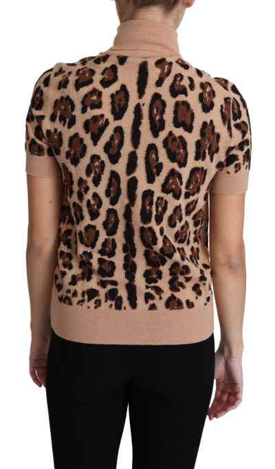Shop Dolce & Gabbana Beige Leopard Print Virgin Wool Turtleneck Women's Top
