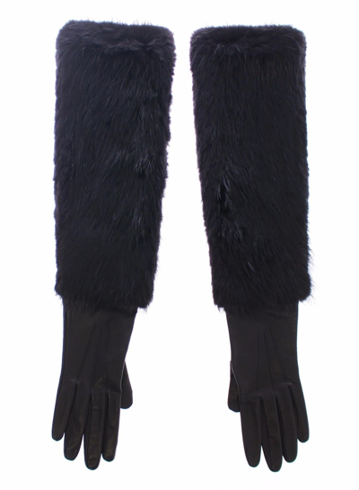 Shop Dolce & Gabbana Black Beaver Fur Lambskin Leather Elbow Women's Gloves