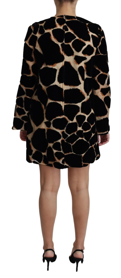 Shop Dolce & Gabbana Black Giraffe Print Shift Mini Women's Dress