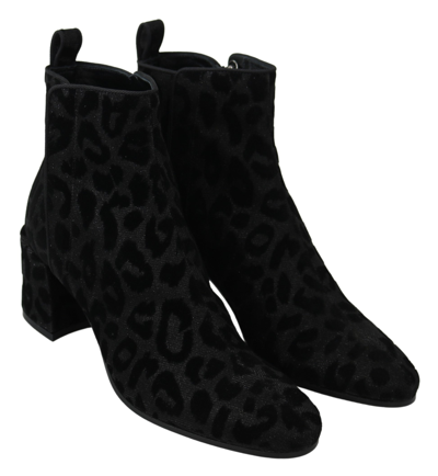 Shop Dolce & Gabbana Black Leopard Short Boots Zipper Women's Shoes