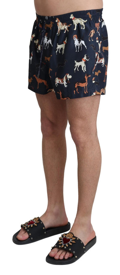 Shop Dolce & Gabbana Blue Dog Print Beachwear Shorts Men Men's Swimwear
