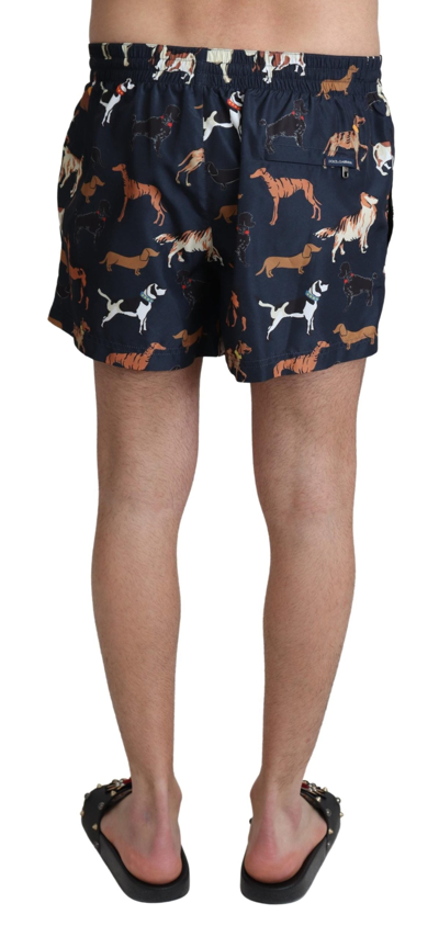 Shop Dolce & Gabbana Blue Dog Print Beachwear Shorts Men Men's Swimwear
