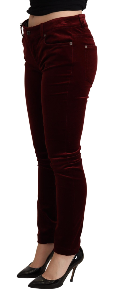 Shop Dolce & Gabbana Bordeaux Red Velvet Skinny Women's Trouser