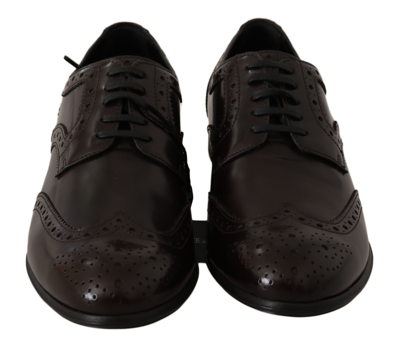 Shop Dolce & Gabbana Brown Leather Broques Oxford Wingtip Women's Shoes