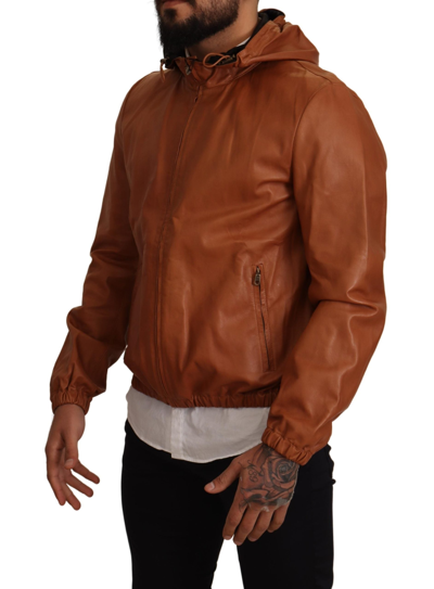 Shop Dolce & Gabbana Elegant Brown Leather Bomber Men's Jacket