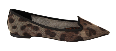 Shop Dolce & Gabbana Brown Leopard Ballerina Flat Loafers Women's Shoes
