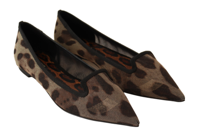 Shop Dolce & Gabbana Brown Leopard Ballerina Flat Loafers Women's Shoes